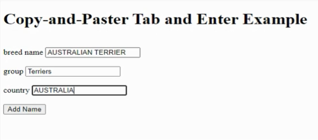 Copy and Paster Tab and Enter